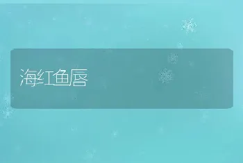 海红鱼唇