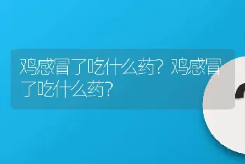 鸡感冒了吃什么药？鸡感冒了吃什么药？