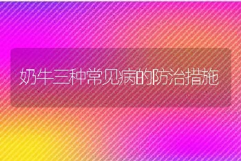 奶牛三种常见病的防治措施