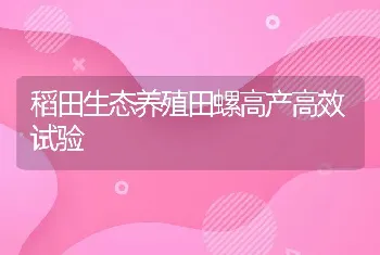 稻田生态养殖田螺高产高效试验