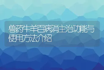 兽药牛羊百病消主治功能与使用方法介绍