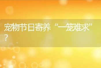 宠物节日寄养“一笼难求”？