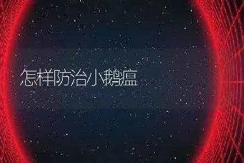 怎样防治小鹅瘟