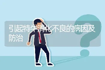 引起特牛消化不良的病因及防治