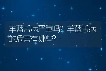 羊蓝舌病严重吗？羊蓝舌病的危害有哪些？