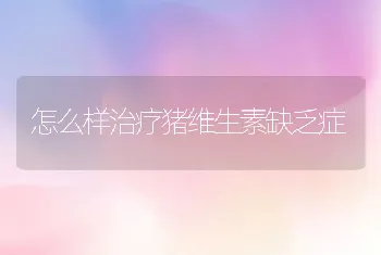 怎么样治疗猪维生素缺乏症