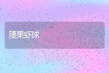 腰果虾球