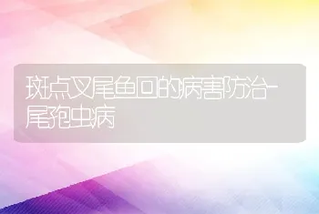 斑点叉尾鱼回的病害防治-尾孢虫病