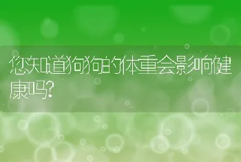 您知道狗狗的体重会影响健康吗?