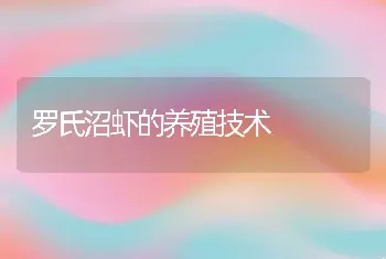 罗氏沼虾的养殖技术