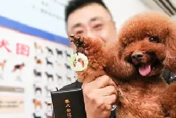 长沙养犬人可给狗办理“智能身份证”