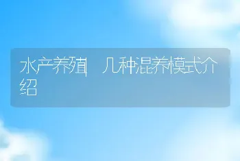 水产养殖|几种混养模式介绍