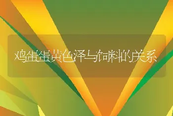 鸡蛋蛋黄色泽与饲料的关系