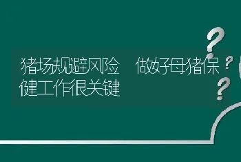 猪场规避风险 做好母猪保健工作很关键