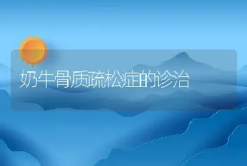 奶牛骨质疏松症的诊治