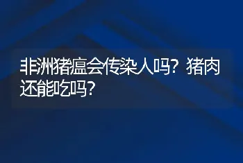 非洲猪瘟会传染人吗？猪肉还能吃吗？