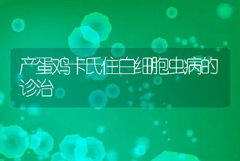 产蛋鸡卡氏住白细胞虫病的诊治