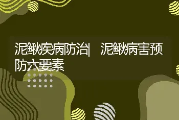 泥鳅疾病防治|泥鳅病害预防六要素