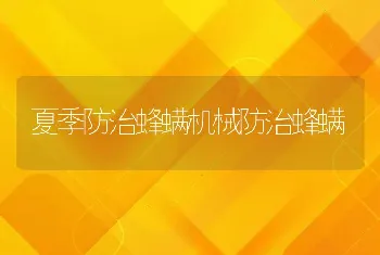 夏季防治蜂螨机械防治蜂螨