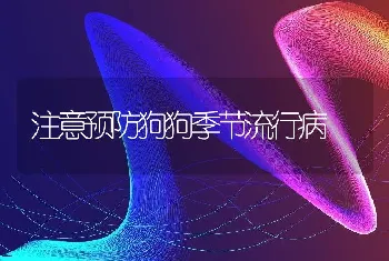 秋季采收蜂蜜的学问