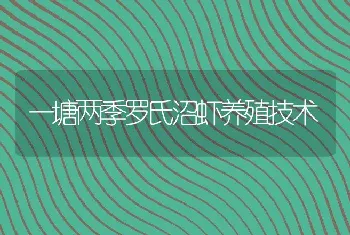 一塘两季罗氏沼虾养殖技术