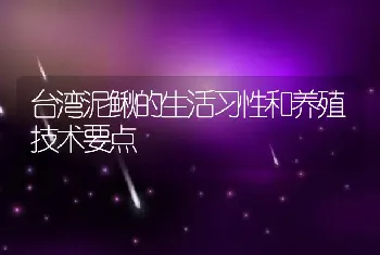 台湾泥鳅的生活习性和养殖技术要点