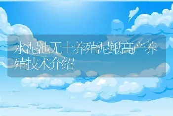 水泥池无土养殖泥鳅高产养殖技术介绍