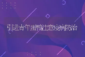 雉雏鸡马立克氏病的诊断