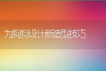 为狗狗设计新造型技巧