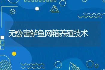 无公害鲈鱼网箱养殖技术