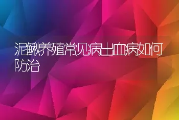 泥鳅养殖常见病出血病如何防治