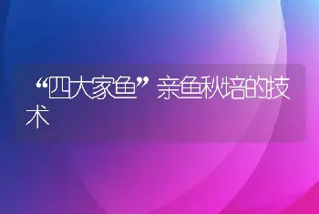 “四大家鱼”亲鱼秋培的技术