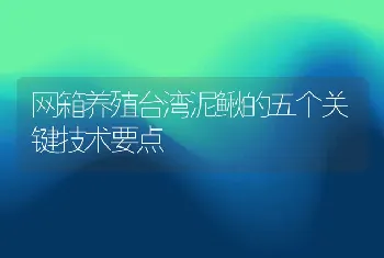 网箱养殖台湾泥鳅的五个关键技术要点