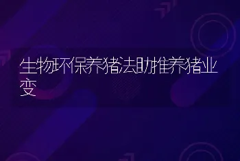 鸡种蛋孵化不可忽视的两个时期