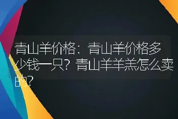 青山羊价格：青山羊价格多少钱一只？青山羊羊羔怎么卖的？