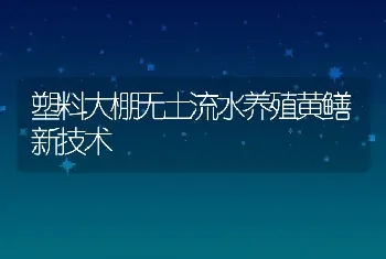 塑料大棚无土流水养殖黄鳝新技术