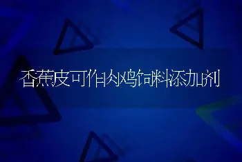 香蕉皮可作肉鸡饲料添加剂