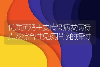 优质黄鸡主要传染病发病特点及综合性免疫程序的探讨