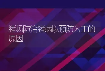 猪场防治猪病以预防为主的原因