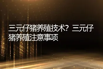 三元仔猪养殖技术？三元仔猪养殖注意事项