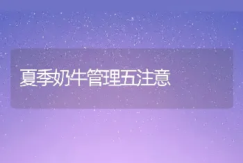 夏季奶牛管理五注意