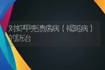 对虾甲壳溃疡病（褐斑病）的防治