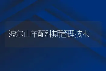 波尔山羊配种期管理技术