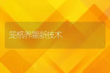 笼格养鳖新技术