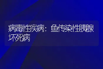 病毒性疾病：鱼传染性胰腺坏死病