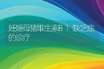 妊娠母猪维生素B1缺乏症的诊疗