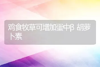 鸡食牧草可增加蛋中β胡萝卜素