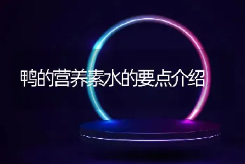 鸭的营养素水的要点介绍