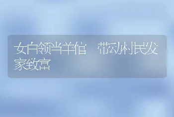 女白领当羊倌 带动村民发家致富