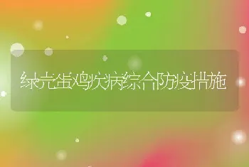 绿壳蛋鸡疾病综合防疫措施